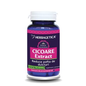 cicoare